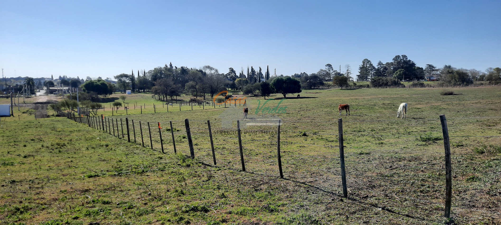 LOTE  muy buenas medidas, excelente entorno y vistas, zona en desarrollo, a 1 cuadra de Bvar Brown.-