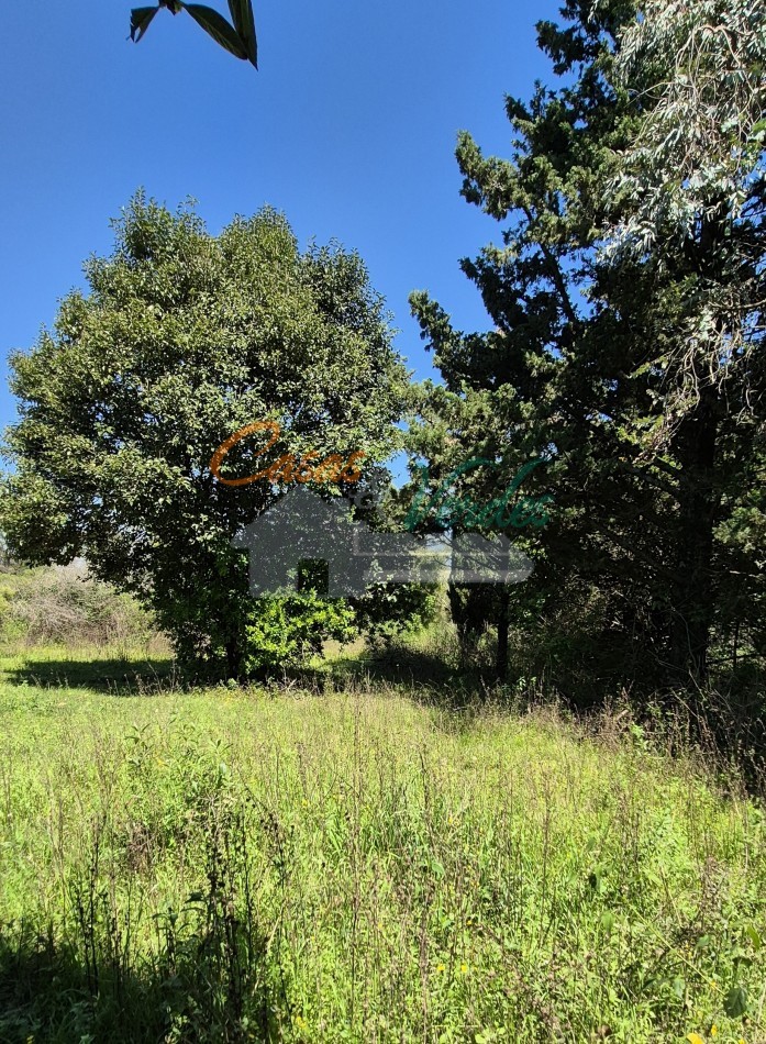 VENTA importante lote de 2.17has, en el ingreso a la ciudad