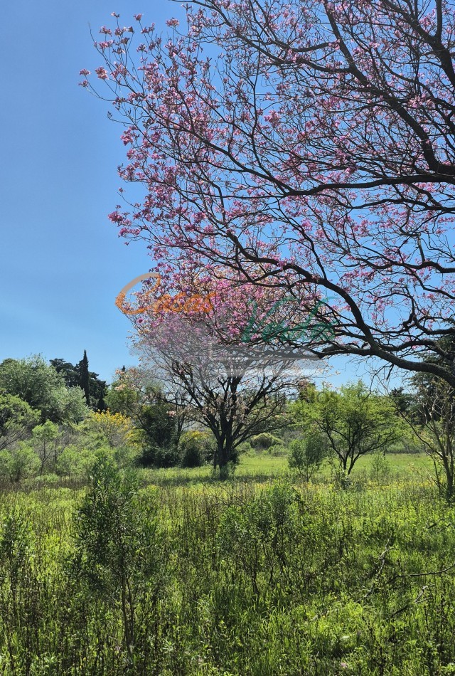 VENTA importante lote de 2.17has, en el ingreso a la ciudad