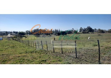 LOTE  muy buenas medidas, excelente entorno y vistas, zona en desarrollo, a 1 cuadra de Bvar Brown.-