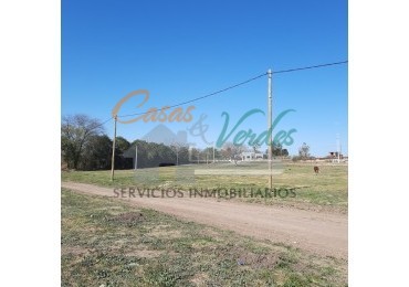 Venta Terreno nro. 14 calle J. J. Passo 